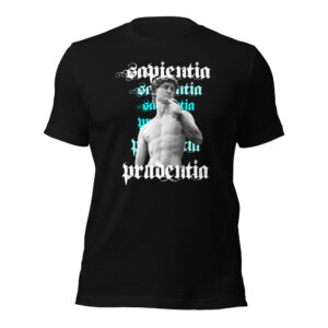 Statue of David Sapientia T-Shirt