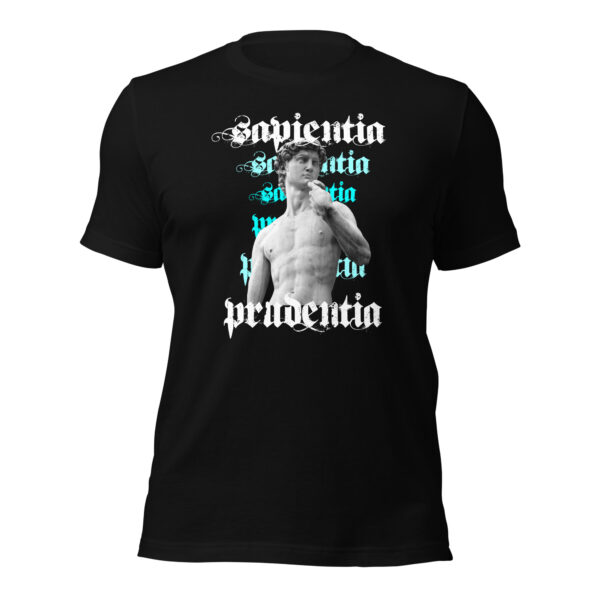 Statue of David Sapientia T-Shirt