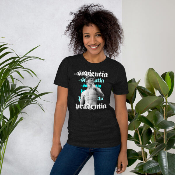 Statue of David Sapientia T-Shirt