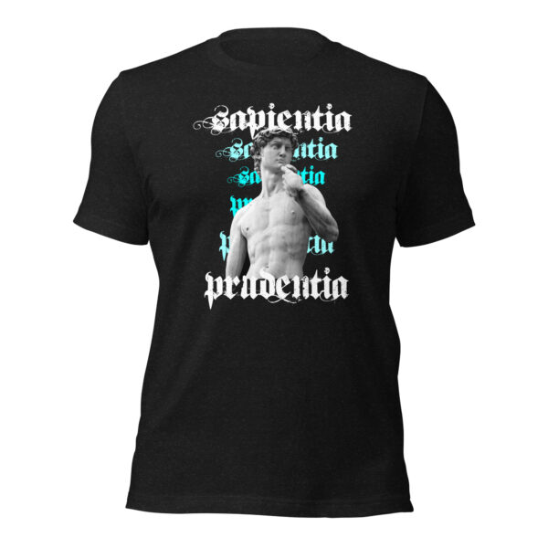 Statue of David Sapientia T-Shirt